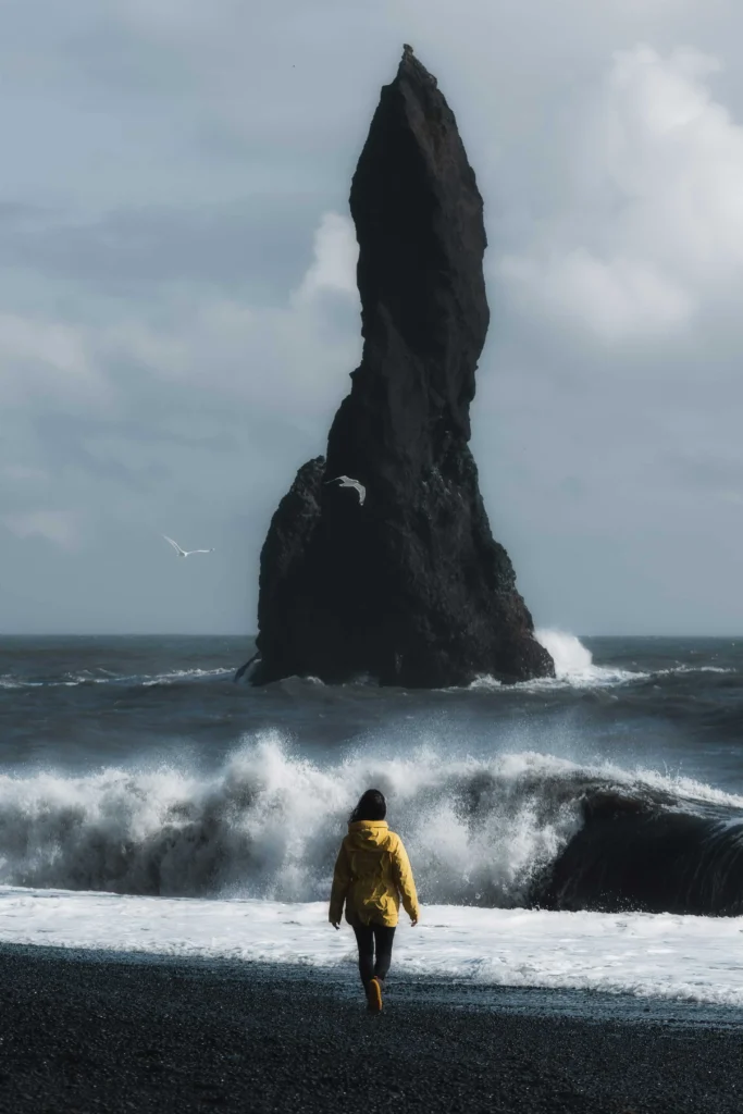 A woman in a yellow mackintosh walks along the black beach reynisfjara towards the rocks in front of the beach, which look like petrified trolls